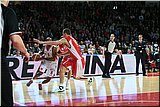 IMG_6568.jpg