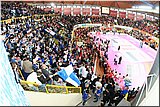 IMG_7132.jpg