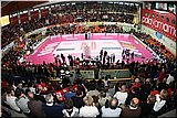 IMG_7136.jpg