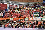 IMG_7161.jpg