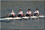 IMG_0088.jpg