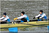 IMG_1612.jpg
