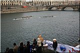 IMG_3878.jpg