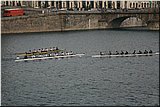 IMG_3879.jpg