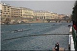IMG_3917.jpg