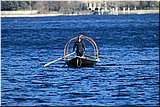 IMG_2854.JPG