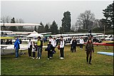 IMG_5390.jpg