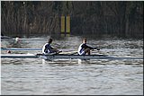 IMG_4215.jpg