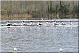 IMG_5810.jpg