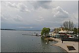 IMG_8394.jpg