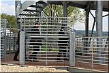 IMG_8408.jpg