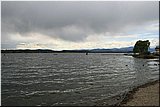 IMG_8581.jpg