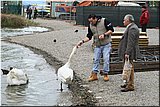IMG_8584.jpg