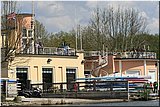 IMG_4266.jpg