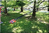 IMG_4339.jpg