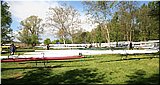 IMG_4341.jpg