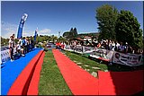 IMG_7426.jpg