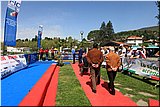 IMG_7478.jpg