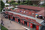 IMG_7628.jpg