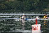 IMG_3757.jpg