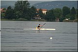 IMG_3779.jpg