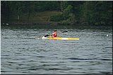 IMG_3801.jpg