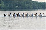 IMG_5229.jpg