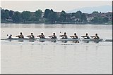 IMG_5238.jpg