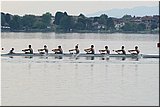 IMG_5239.jpg