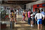 IMG_0982.jpg