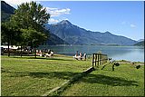 IMG_4047.jpg