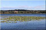 IMG_0050.jpg