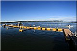IMG_2036.jpg
