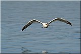 IMG_4118.jpg