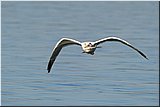 IMG_4119.jpg