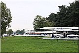 IMG_2935.jpg