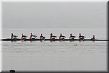 IMG_3306].jpg