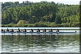 IMG_3679].jpg