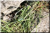 IMG_1247].jpg