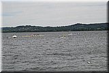 CEC_0568].jpg
