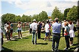 IMG_1800].jpg