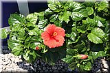 IMG_1967].jpg