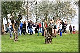 IMG_6742].jpg