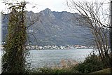IMG_7689].jpg
