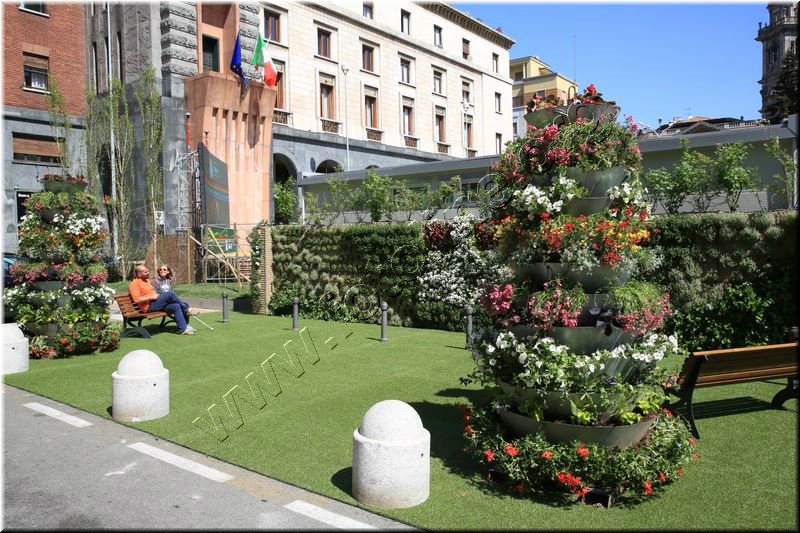 CEC_8968].jpg