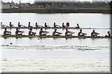 CEC_1464].jpg