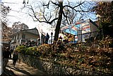 IMG_3529].jpg