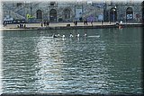CEC_6746].jpg