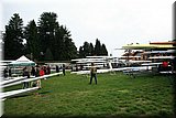 IMG_4319.JPG