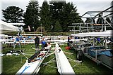 IMG_4367.JPG
